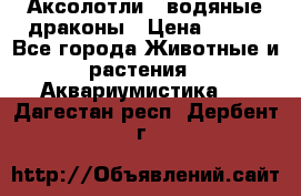 Аксолотли / водяные драконы › Цена ­ 500 - Все города Животные и растения » Аквариумистика   . Дагестан респ.,Дербент г.